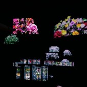 Azuma Makoto mang những “đóa hoa vĩnh cửu” đến triển lãm ở Đài Loan